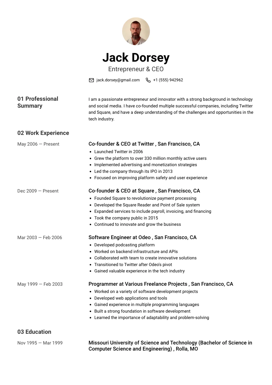 Newton Resume Template Newton